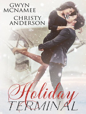 cover image of Holiday Terminal